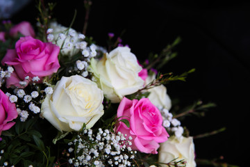 Wedding and wedding celebration