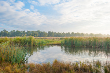 Shore of a lake at sunrise in autumn