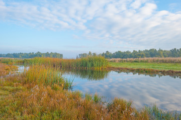 Fototapeta premium Brzeg jeziora o wschodzie słońca jesienią