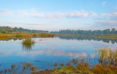 Shore of a lake at sunrise in autumn