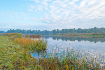 Shore of a lake at sunrise in autumn