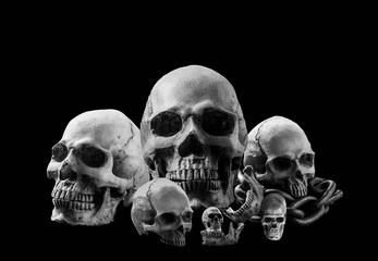 Skulls with a black and white image.