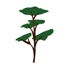 Obraz premium green tall tree plant icon over white background. vector illustration