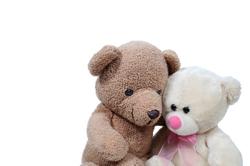 Teddy bear on white background.