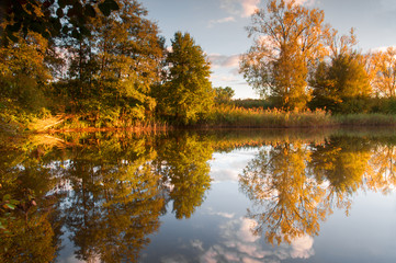 Herbstliche Spiegelung im Weiher