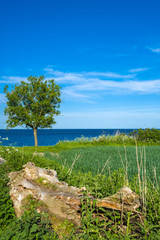 An der Steilküste Staberhuk auf der Insel Fehmarn