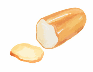 Isolated watercolor cheese on white background. Tasty and healthy snack. Dairy gourmet food.