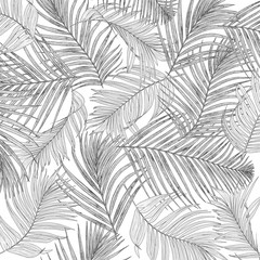 leaves of palm tree background