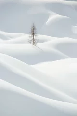 Fototapeten Snow, winter mountain landscape, tree alone © Belphnaque