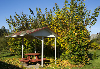 Gazebo in autumn park