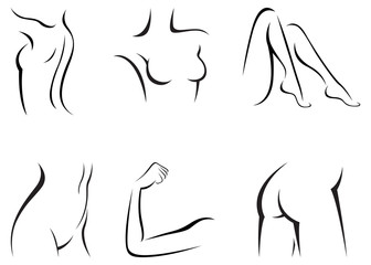 Set stylized female body parts vector illustration of a linear