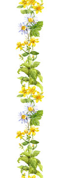 Flowers, leaves and herbs. Seamless border. Watercolor frame