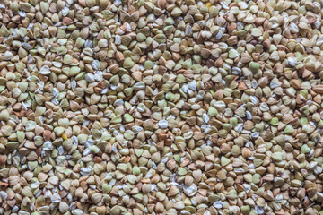 texture of many seeds (green buckwheat), background
