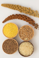 Twig red millet, yellow millet twig. Buckwheat, millet, rice and