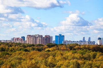 Obraz premium żółte i zielone wierzchołki drzew i panoramę jesienią