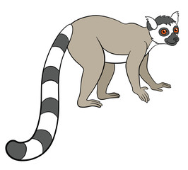 Fototapeta na wymiar Cartoon animals for kids. Little cute lemur smiles.