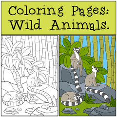 Coloring Pages: Wild Animals. Three little cute lemurs.