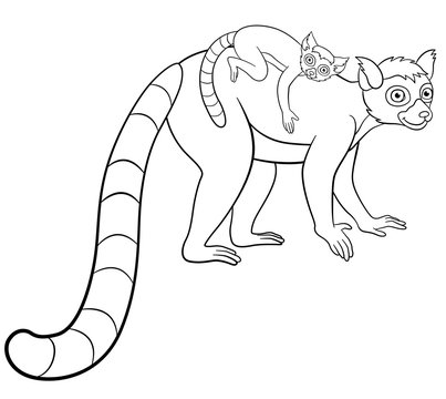 Coloring pages. Mother lemur with her little cute baby.