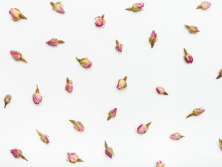 pink rose flower buds on white textured paper - obrazy, fototapety, plakaty