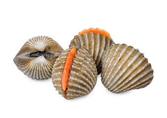 fresh cockles seafood isolated on white