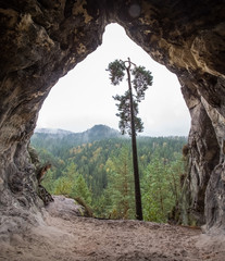 Kleinsteinh&ouml;hle in der S&auml;chsische Schweiz