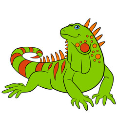 Fototapeta premium Cartoon animals. Cute green iguana smiles.