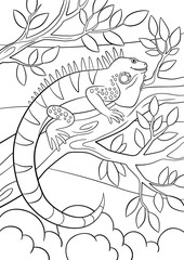 Coloring pages. Cute iguana sits on the tree branch.