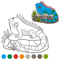 Fototapeta premium Color me: iguana. Cute blue iguana sits on the rock.