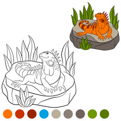 Naklejka premium Color me: iguana. Cute orange iguana sits on the rock.