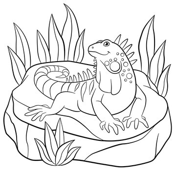 Coloring pages. Cute iguana sits on the rock.