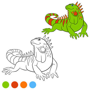Color me: iguana. Cute green iguana smiles.