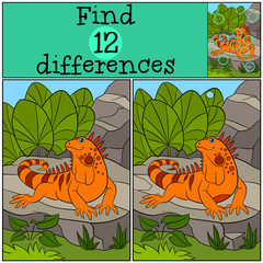 Naklejka premium Educational game: Find differences. Cute iguana sits on the rock