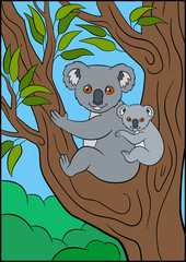 Cartoon animals. Mother koala sits with her little cute baby.