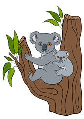 Cartoon animals. Mother koala sits with her little cute baby.