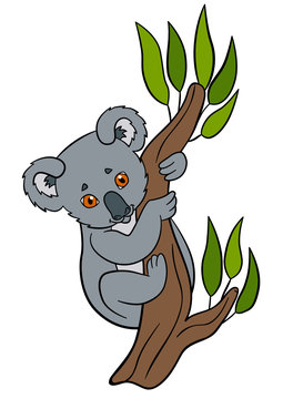 Cartoon animals. Little cute baby koala smiles.