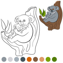 Naklejka premium Color me: koala. Mother koala with her cute baby.