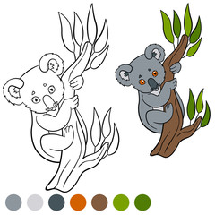 Color me: koala. Little cute baby koala smiles.