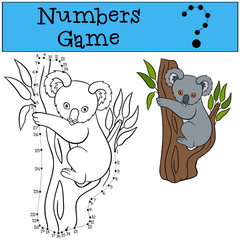 Fototapeta premium Educational game: Numbers game. Little cute baby koala.