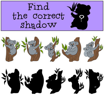 Educational game: Find the correct shadow. Little cute koala.