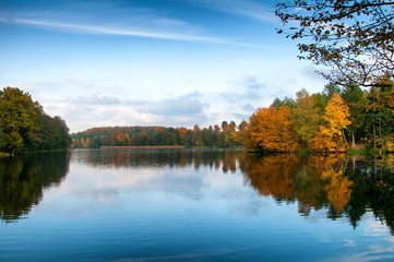 Fototapeta na wymiar Beautiful forest and lake in autumn