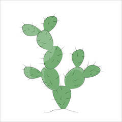 Prickly Pear Cactus vector.