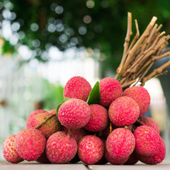 Beautiful lychee fruit Asia Thailand in nature