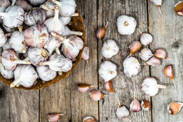 Fresh garlic bulb, top view. Local farm vegetables on wooden table.