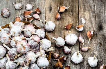 Healthy garlic bulbs in the basket, overhead view of farm fresh vegetables
