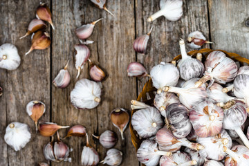 Healthy garlic bulbs in the basket, overhead view of farm fresh vegetables