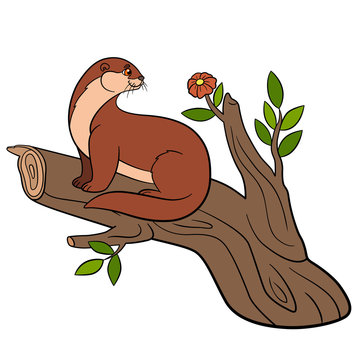 Cartoon animals. Little cute otter on the tree branch.