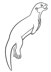Coloring pages. Little cute otter swims.