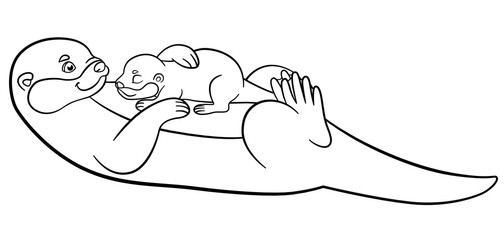 Coloring pages. Mother otter swims with her cute baby.