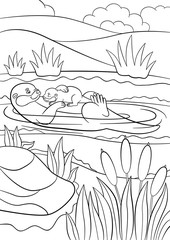Coloring pages. Mother otter swims with her baby.