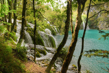 Waterfalls that empty into the turquoise lake surrounded by forest trees and green bushes. Plitvice National park in Croatia, UNESCO